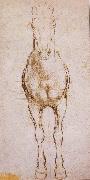 Study of the proportion of horses LEONARDO da Vinci